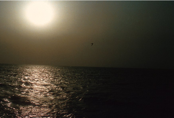 Polluted skies off the coast of Kuwait (1991) Photo courtesy of Robert Bumpas.png