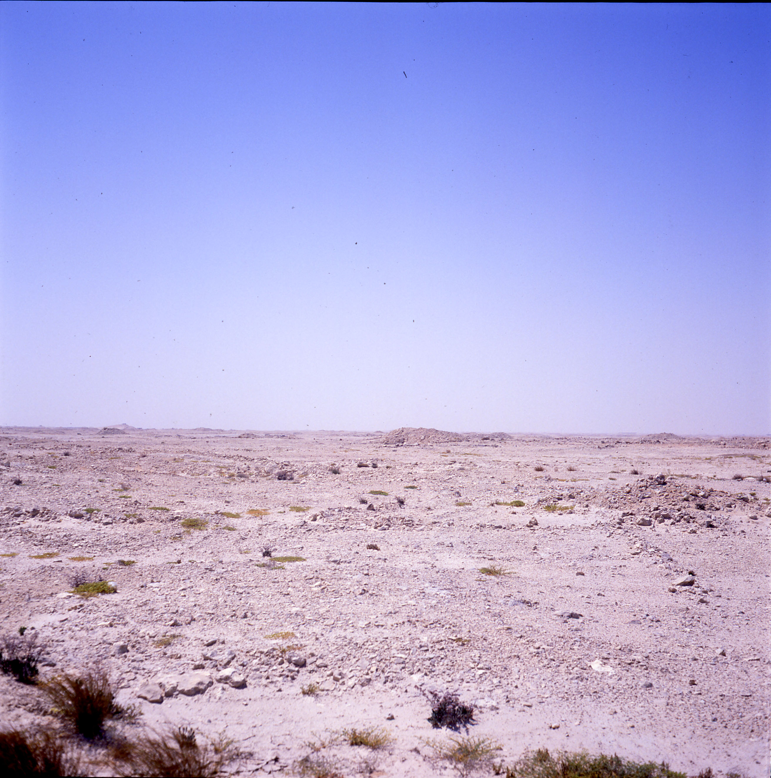 The natural landscape of Bahrain.jpg