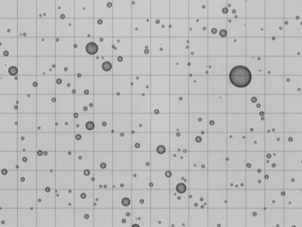 Condensational Growth of Drops Formed on Giant Sea-Salt Aerosol Particles;