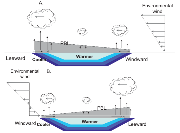 Excitation of Rainfall Over the Tropical Western Pacific