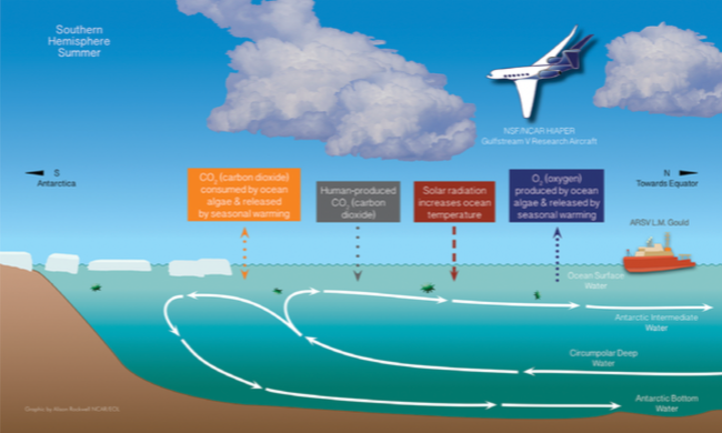 The O2/N2 ratio and CO2 airborne Southern Ocean study (ORCAS)