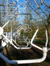 Sonic anemometers in a walnut grove for the CHATS project